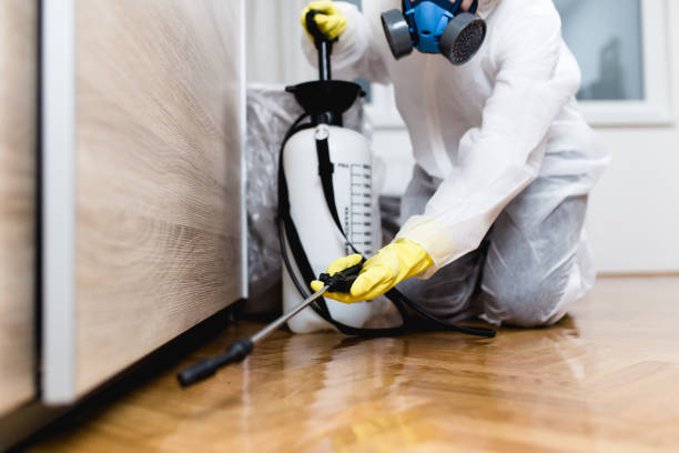 Best Best Pest Control Companies  in Willard, MO
