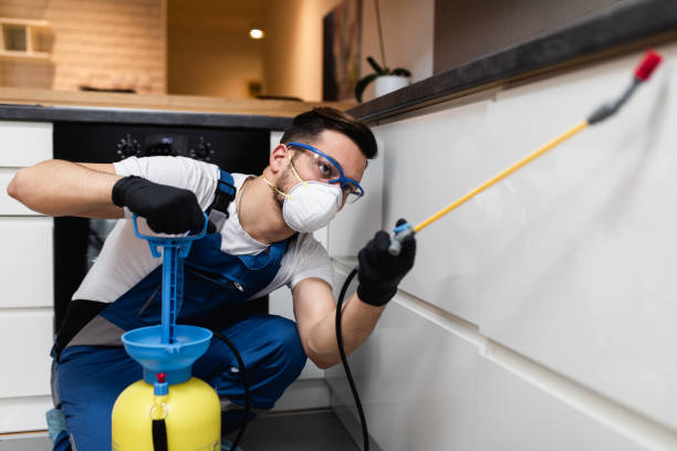 Best Mosquito Control Services  in Willard, MO