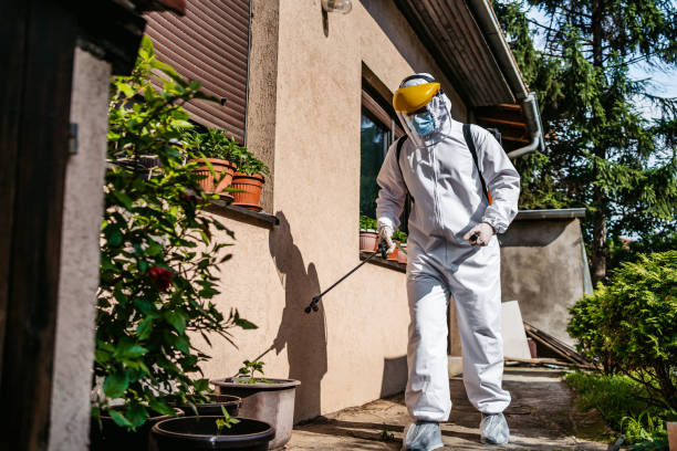 Best Mosquito Control Services  in Willard, MO