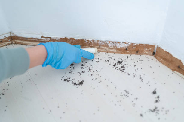 Best Commercial Pest Control Services  in Willard, MO