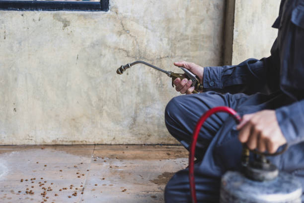 Best Pest Removal Services  in Willard, MO